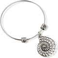 Emerald Park Jewelry Large Nautilus Sea Shell Outline Fancy Bangle